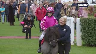 Early confusion and a great celebration in Shetland Pony Race [upl. by Laefar]