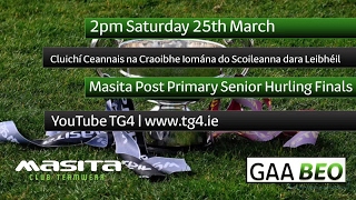 TG4 TO STREAM LIVE GAA MATCHES ONLINE [upl. by Rehptsirhc268]