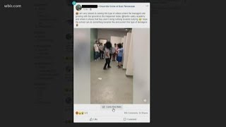 KCSO KCS investigate video circulating on social media of fight at Hardin Valley Academy [upl. by Dlanor]