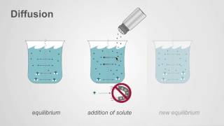 The difference between osmosis and diffusion [upl. by Notserc]