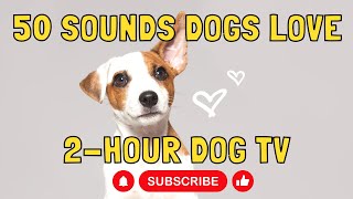 50 sounds dogs love  2hour dog TV  Dog entertainment [upl. by Nirag]