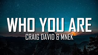 Craig David amp MNEK  Who You Are Lyrics  Just Flexin [upl. by Aniri]