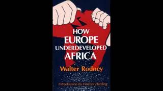 How Europe Underdeveloped Africa chapter 1 section 1 Group Discussion [upl. by Leacock]