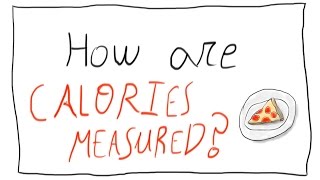 What are Calories Food Measurements Explained [upl. by Aiuoqes]