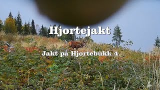 Hjortejakt Jakt på hjortebukk 4 [upl. by Yecac447]