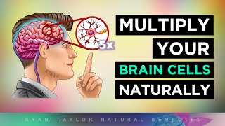 12 Ways To MULTIPLY Your BRAIN CELLS [upl. by Hailahk]