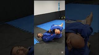 Raspagem de Omoplata com Montada bjj jiujitsu [upl. by Durning]