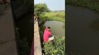 The village fisherman caught a big monster fish from the roadside canal fishvideo shorts fishing [upl. by Adiana]