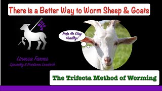 Worming Sheep and Goats The Linessa Farms Trifecta Method [upl. by Floeter920]