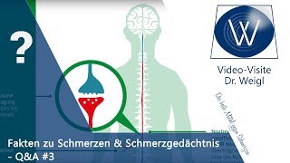 Chronischer Schmerz das Schmerzgedächtnis psychosomatische Schmerzen amp Schmerztherapie ☎QampA 3👥 [upl. by Behka]