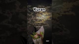 Quran quran quranrecitation [upl. by Hareehahs676]