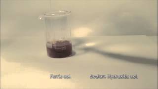 Reaction of Ferric Solution with Sodium Hydroxide solution [upl. by Caswell570]