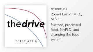 14 – Robert Lustig MD MSL fructose processed food NAFLD and changing the food system [upl. by Enirehs]