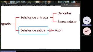 FISIOLOGIA FISIOPATOLOGIA FASE 2 TEORIA 01 01 [upl. by Aniri]