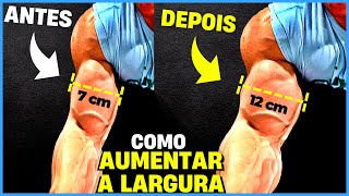 5 EXERCÍCIOS PARA DEIXAR O BÍCEPS MAIS LARGO  TREINO DE BÍCEPS [upl. by Nabois649]