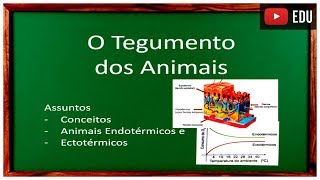 Aula Tegumento dos Animais [upl. by Eilyac250]