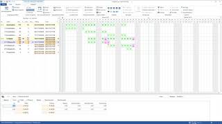 Rillsoft Projektmanagement Software  05  SollIstVergleich [upl. by Stubstad]