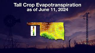 Mesonet June 15 2024 [upl. by Dru]