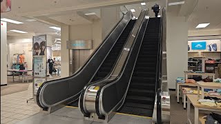 Montgomery Kone Escalators  JCPenney  Maplewood Mall  Maplewood MN [upl. by Sylvan499]