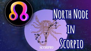 North Node In Scorpio ♏The Fallen Angel [upl. by Gregson]