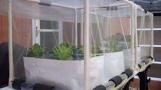 Hydroponic Kratky method outdoor growbins amp buckets Aug 3 2014 [upl. by Beitch]