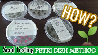 HOW TO TEST THE VIABILITY OF YOUR SEEDS Petri Dish Method🌱 [upl. by Ahsaelat]