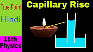 🔴 Capillary Rise  Surface Tension  in Hindi [upl. by Maury]