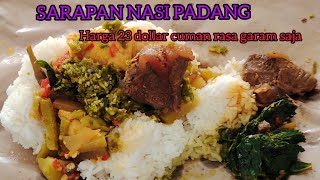 TERLALU EXCITED  NASI PADANG BERANEKA MACAM MENU  Vlogging makan [upl. by Dituri]