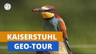 Der Kaiserstuhl  GeoTour  Planet Schule [upl. by Chari]