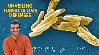 How is the Laboratory of Mycobacterial Pathogenesis fighting TB tuberculosis [upl. by Remos]