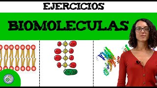 Biomoléculas 1 🔬 ejercicio resuelto EBAU EvAUPAU [upl. by Robson]