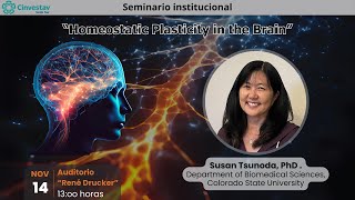 Seminario “Homeostatic Plasticity in the Brain” [upl. by Nob]