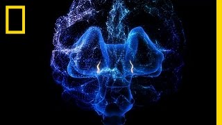 The On Off Switch of Consciousness  Breakthrough [upl. by Thorn220]