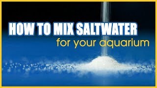 How to Mix Saltwater for Your Aquarium A Step by Step Tutorial [upl. by Thorner302]