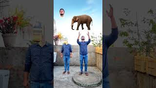 Flying body parts matching amp catching elephant amp cat funny vfx magic  Kinemaster editing [upl. by Waterer]