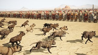 2400 Savage Dog Vs 6400 Roman Triarii  Total War Rome 2 [upl. by John774]