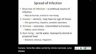 144 Disease Spread [upl. by Lednam]