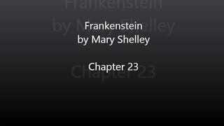 Frankenstein by Mary Shelley  Chapter 23 Audiobook [upl. by Kciredec101]