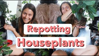 Repotting Houseplants  Repot Indoor Plants amp Chat [upl. by Noicnecsa]