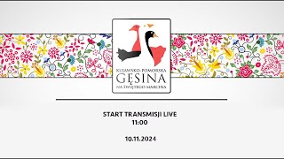 KujawskoPomorska Gęsina na św Marcina  transmisja live 2024 10 listopada  cz12 [upl. by Pestana]