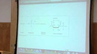 Glycogen Metabolism by Kevin Ahern Part 1 of 4 [upl. by Ecidnacal]