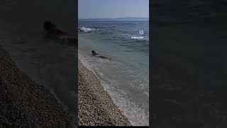 Makarska walk August Summer Croatia 2024 ASMR 4K HDR2024 croatia makarskariviera makarska beach [upl. by Leventis30]