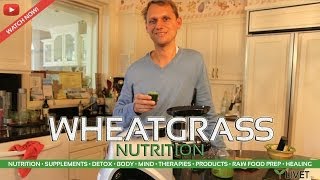 WHEATGRASS for NUTRITION ◦ Benefits Facts Information amp Experience from LIVET LIFESTYLE amp LIVETtv [upl. by Celinda]