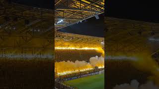 Dynamo Dresden mit Starker Choreo und Lautstärke [upl. by Merri659]