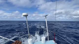 SAILING TO TONGA 🇹🇴 🏝️ ⛵️  Day 1 on passage [upl. by Attiuqaj]