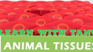 Animal TissueClass 11Part 1CBSE [upl. by Yrek557]