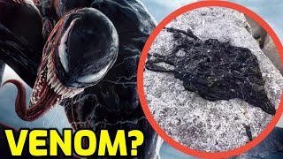 The REAL Venom Symbiote Explained [upl. by Charbonneau463]