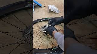 How to replace cassette on a road bike  no freewheel [upl. by Eillime]