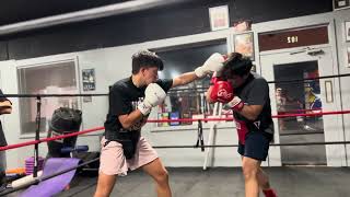 Self taught No Fights Vs Pro Boxer Sparring wo Headgear [upl. by Riebling]