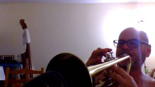 Trumpet  Yamaha Silent Brass  Boss HR2 Harmonist Filipe Barthem [upl. by Cowan]